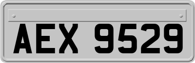 AEX9529