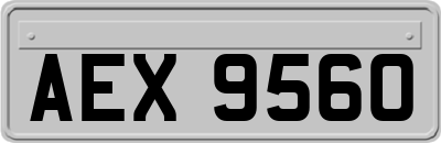 AEX9560