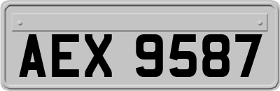 AEX9587