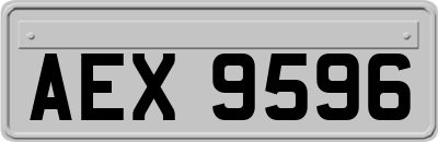 AEX9596