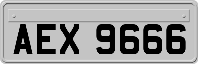 AEX9666