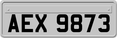 AEX9873