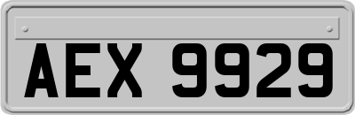 AEX9929