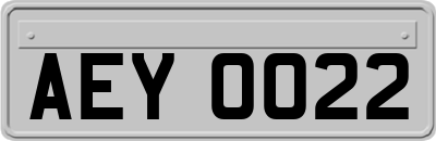 AEY0022