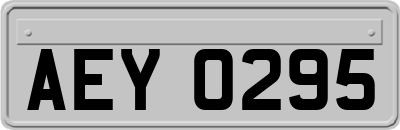 AEY0295