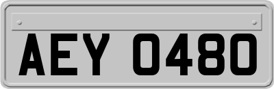 AEY0480