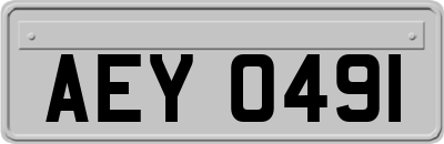 AEY0491