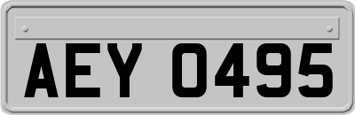 AEY0495