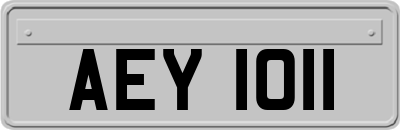AEY1011