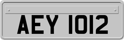 AEY1012