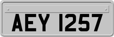 AEY1257