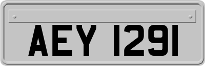 AEY1291