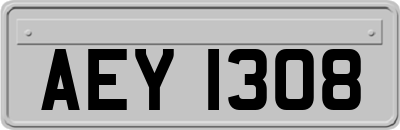 AEY1308