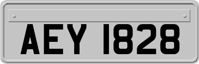 AEY1828