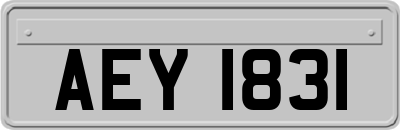 AEY1831