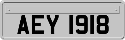 AEY1918