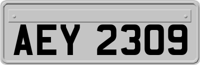 AEY2309