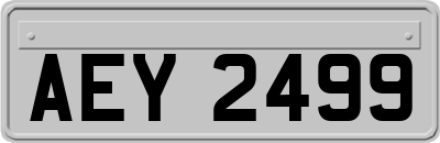 AEY2499
