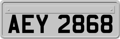AEY2868