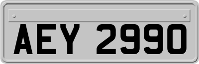 AEY2990