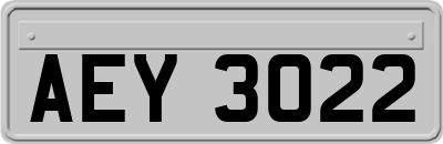 AEY3022