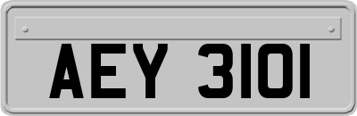 AEY3101