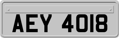 AEY4018