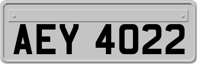 AEY4022