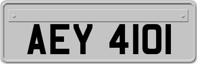 AEY4101
