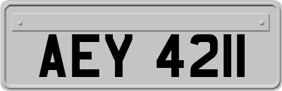AEY4211