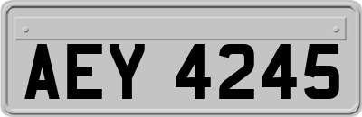 AEY4245