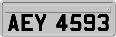 AEY4593