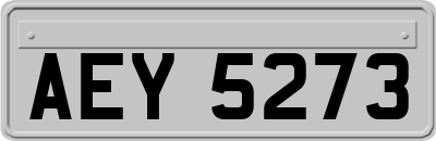 AEY5273