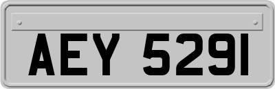 AEY5291