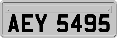 AEY5495