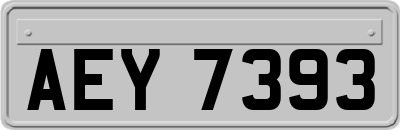 AEY7393