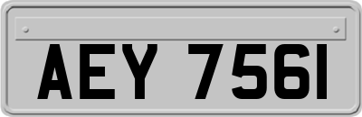 AEY7561