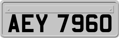 AEY7960