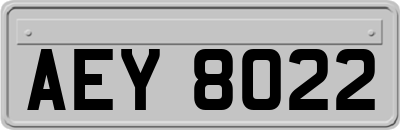 AEY8022