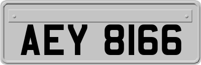 AEY8166