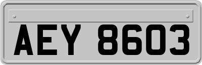 AEY8603