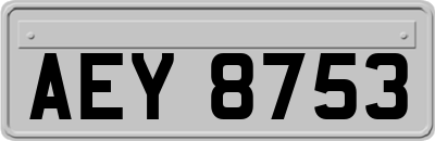 AEY8753