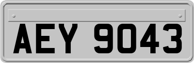 AEY9043