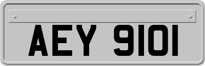 AEY9101