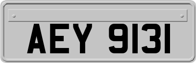AEY9131