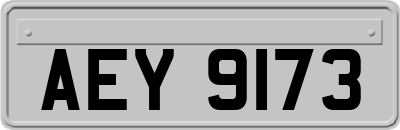 AEY9173