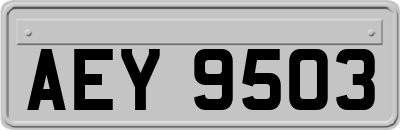 AEY9503