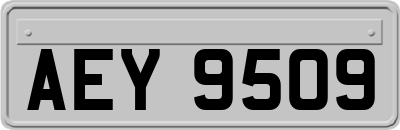 AEY9509