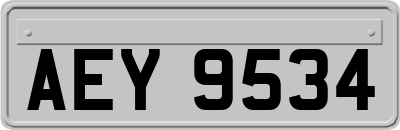 AEY9534