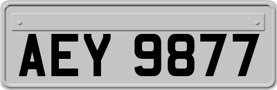 AEY9877